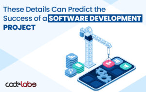 Software development project