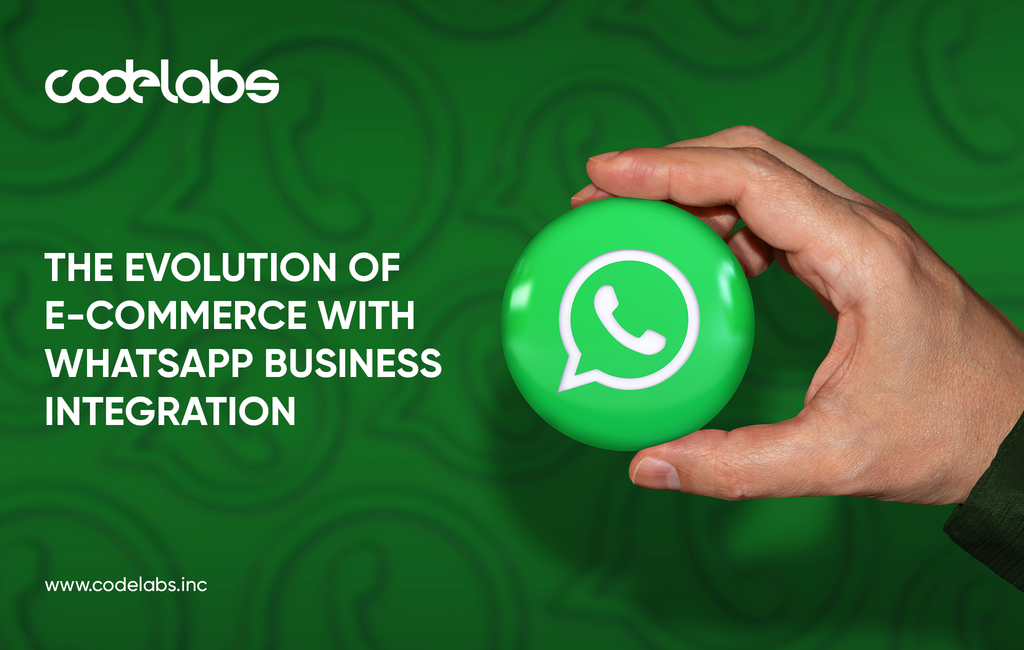 Whatsapp business integration